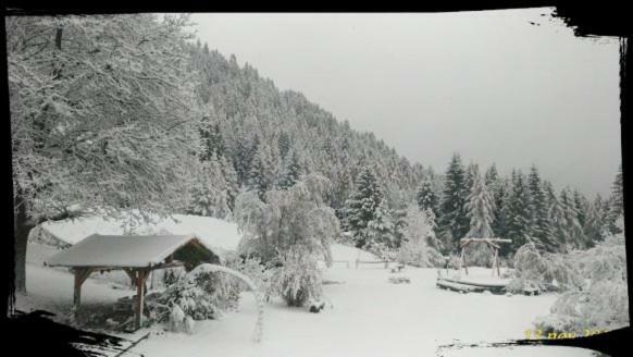 B&B Lo Scoiattolo Nebbiu Экстерьер фото